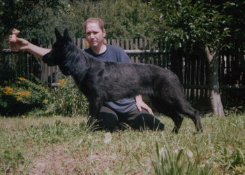 Original image from the archived Brut record