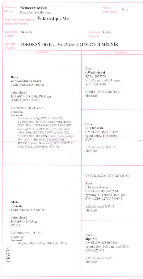 Original image from the archived Kery Kamos Durabo x EPY z Jirkova dvora record