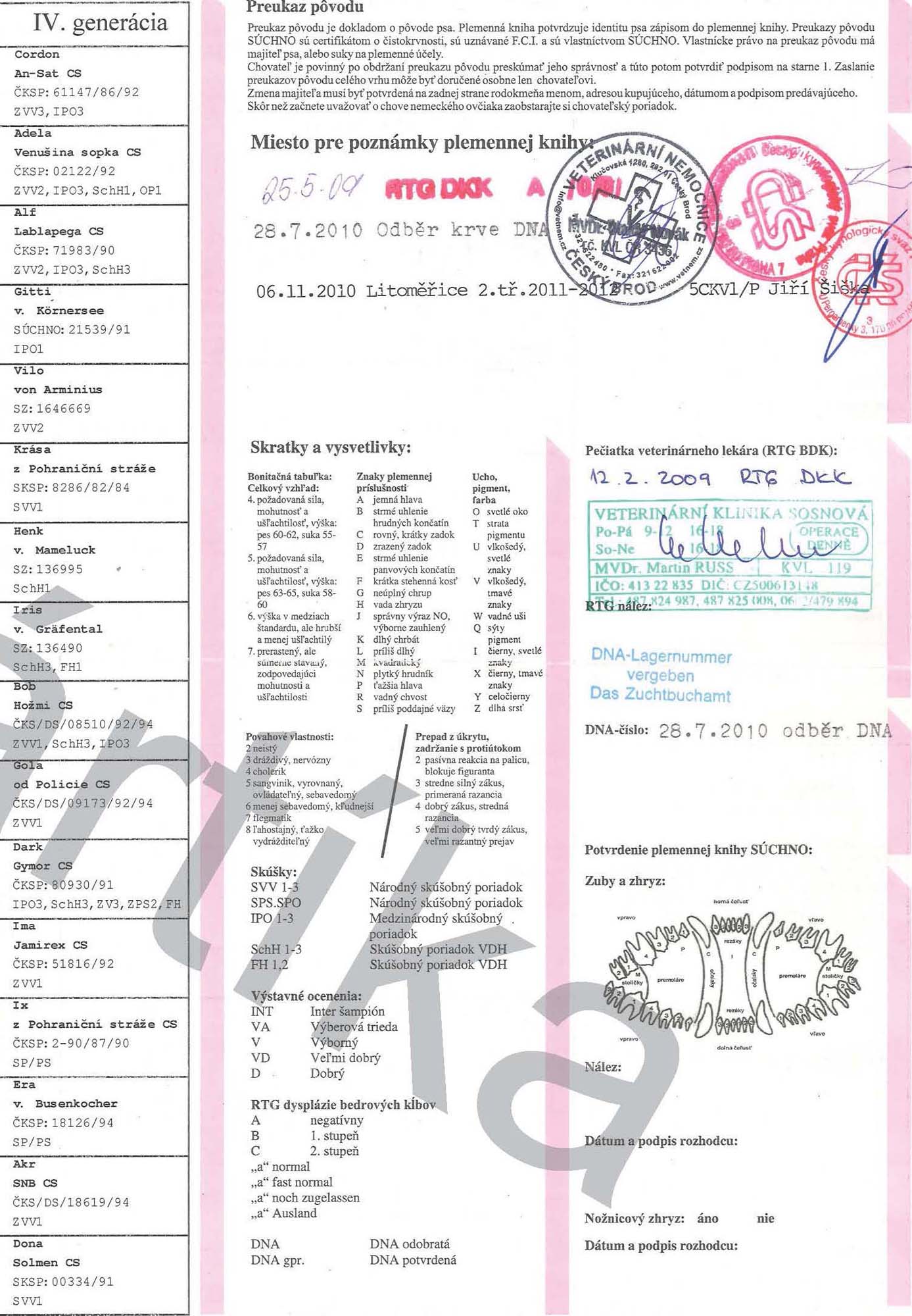 Original image from the archived BRITA Neresnicka dolina record