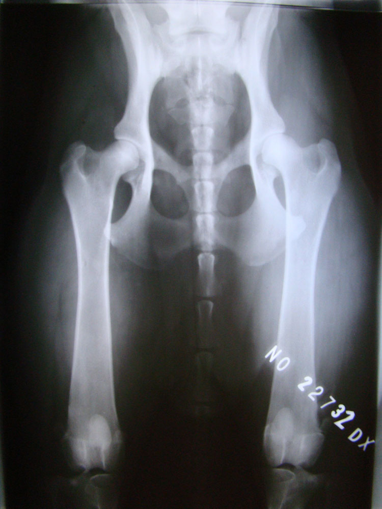 Original image from the archived call name SUNNY record