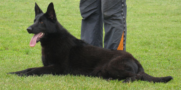 Original image from the archived ARINA record