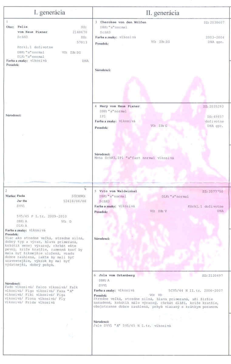 Original image from the archived XINA Ja-He record