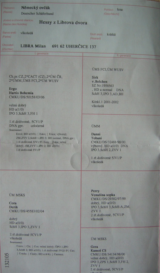 Original image from the archived HESSY z Librova dvora record