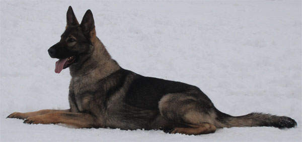 Original image from the archived KEIRA Duffmar record