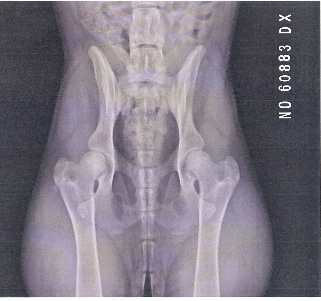 Original image from the archived DAGGI Mapet record