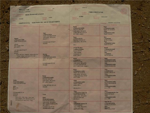 Original image from the archived Quint Hronovsky pramen x Erin Derik record