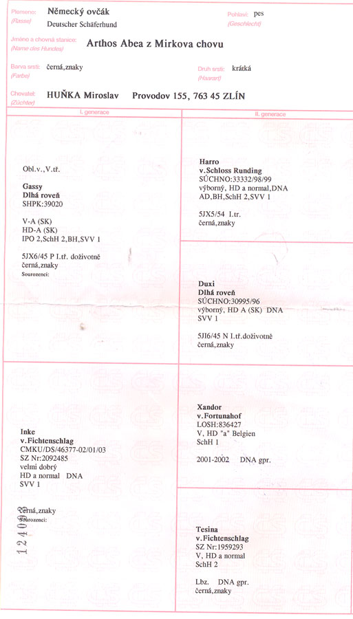 Original image from the archived ARTHOS ABEA z Mirkova chovu record