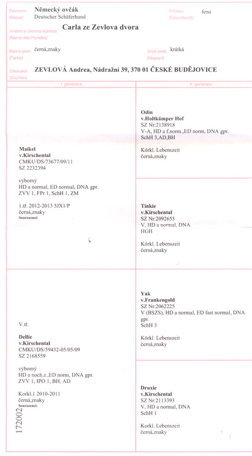 Original image from the archived CARLA ze Zevlova dvora record