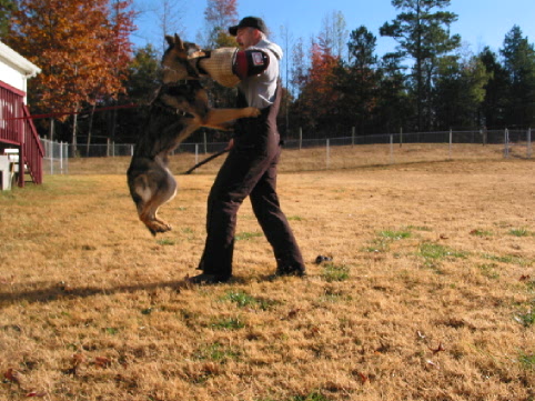 Original image from the archived THORP record