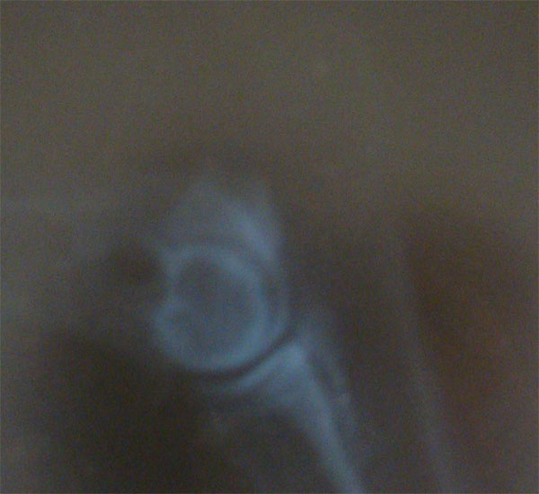 Original image from the archived CALLIF z Herodesova domu record