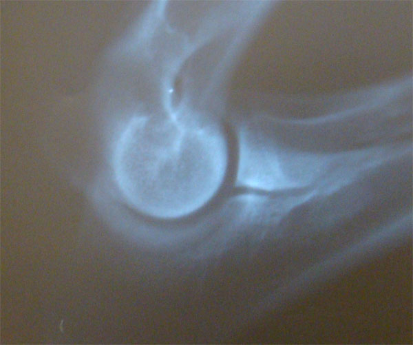 Original image from the archived BAR od Zbojnika record