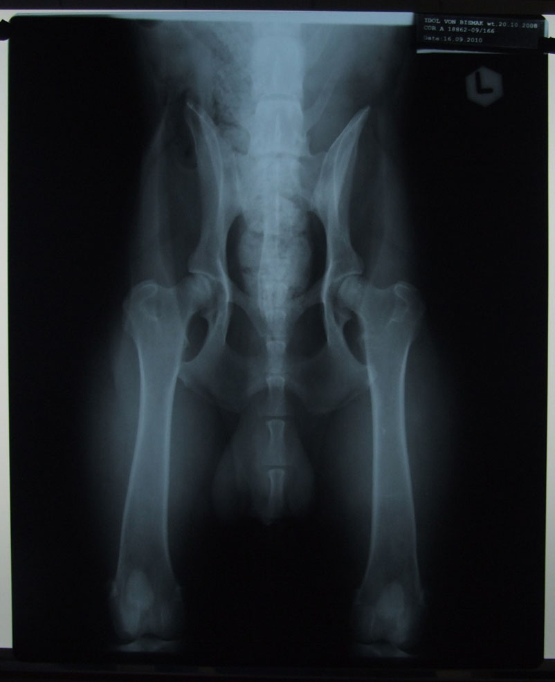 Original image from the archived call name ARTHUR record