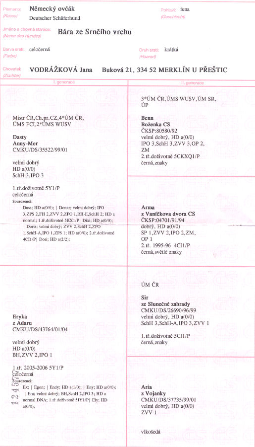 Original image from the archived BARA ze Srnciho vrchu record