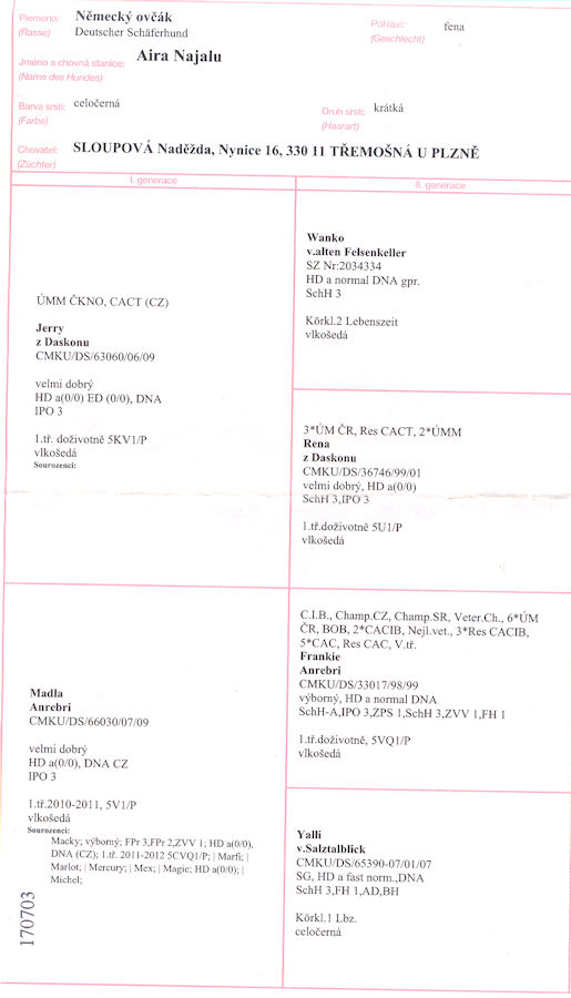 Original image from the archived AIRA Najalu record