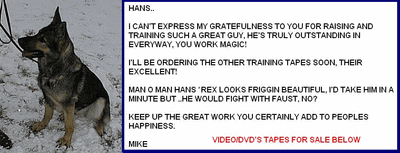 Original image from the archived Item Reviews record
