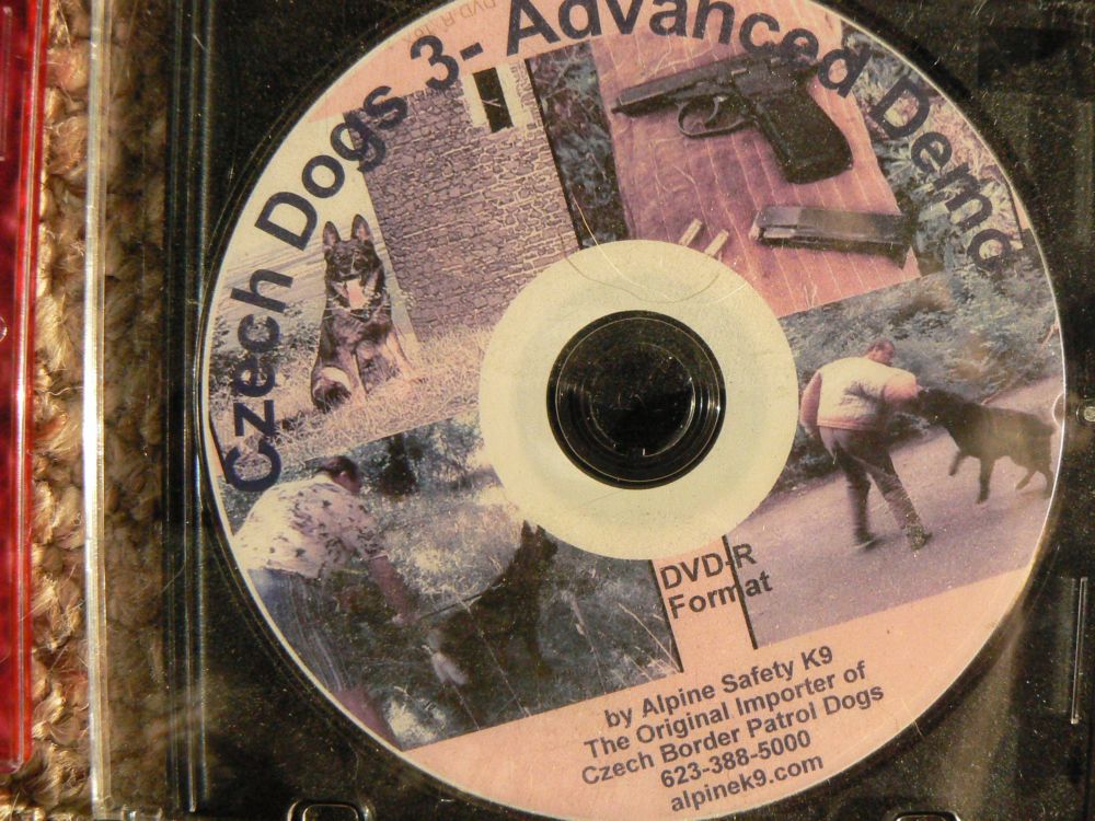 Original image from the archived German Shepherd Dogs - Advanced Jinopo - Alpine K-9 record