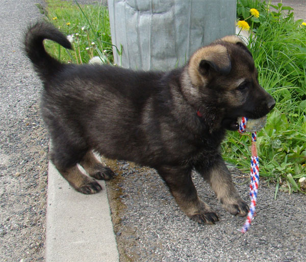 Original image from the archived BADY ze Svobodneho dvora x BRITA Neresnicka Dolina record