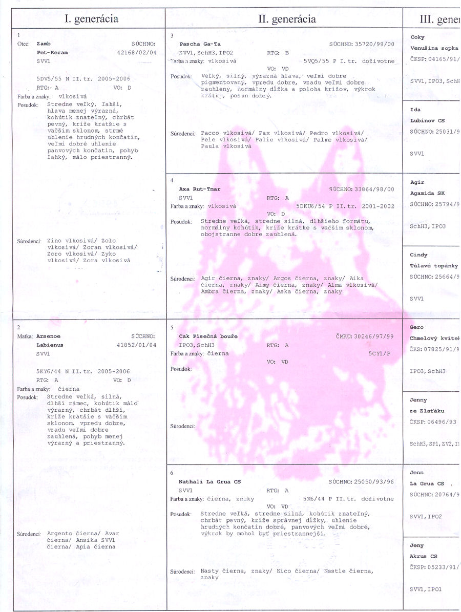 Original image from the archived BRYTA z Ajkinej nadeje record
