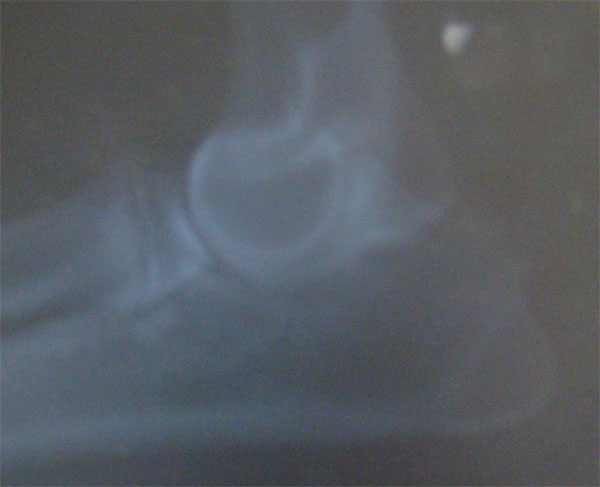 Original image from the archived Miky z Vetrneho vrchu record