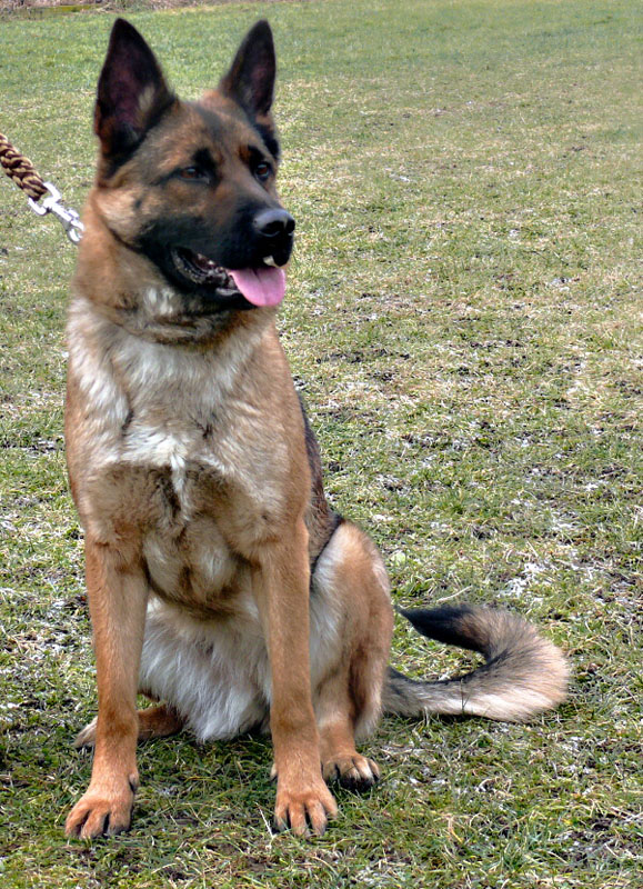 Original image from the archived MANOLIKA Jakmir record