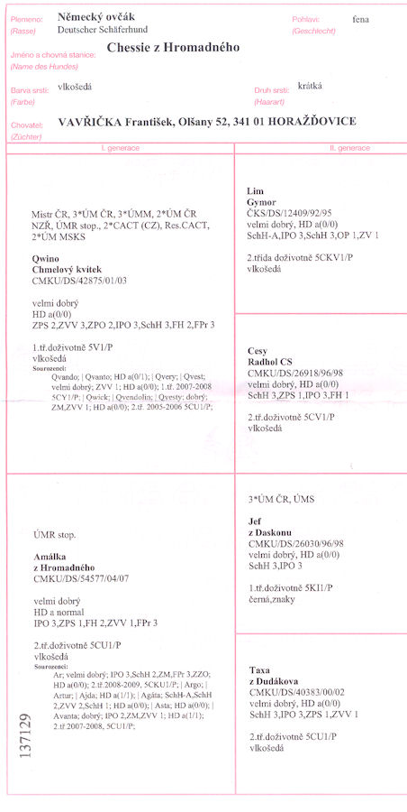 Original image from the archived CHESIE z Hromadneho record