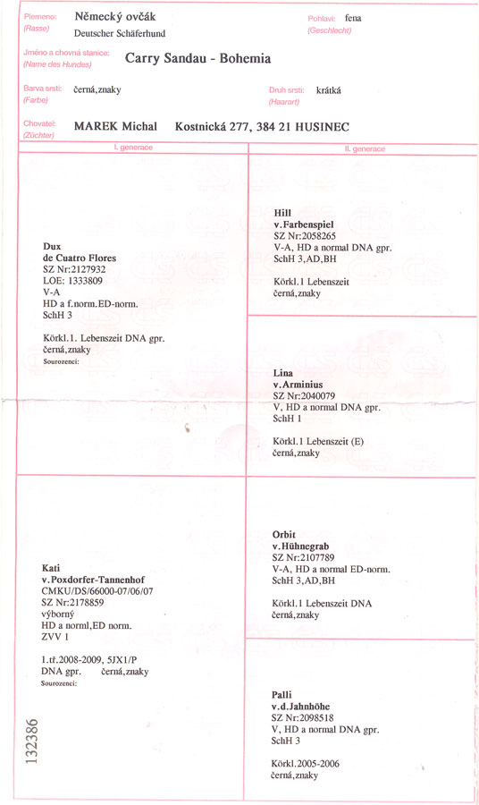 Original image from the archived CARRY Sandau Bohemia record