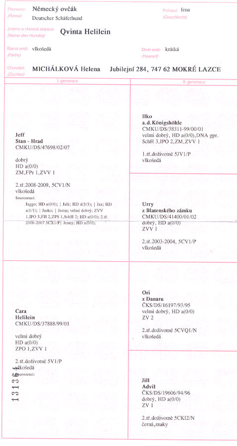 Original image from the archived QVINTA Helilein record