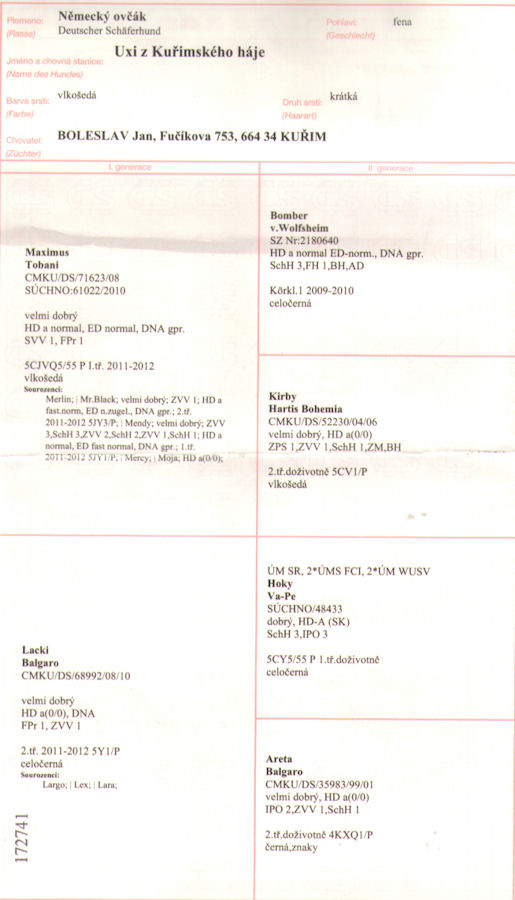 Original image from the archived UXI z Kurimskeho haje record