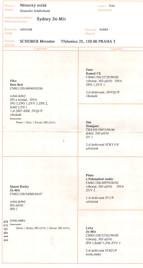 Original image from the archived SYDNEY Jit-Mir record
