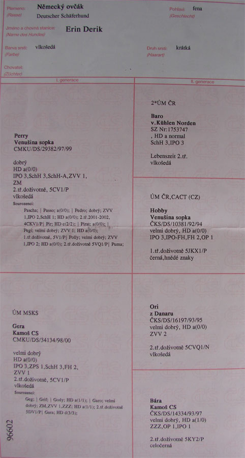 Original image from the archived Erin Derik record