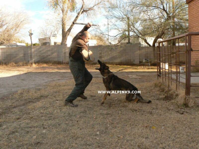 Original image from the archived BOLKO z Duxova record