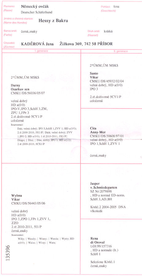Original image from the archived HESSY z Bakru record