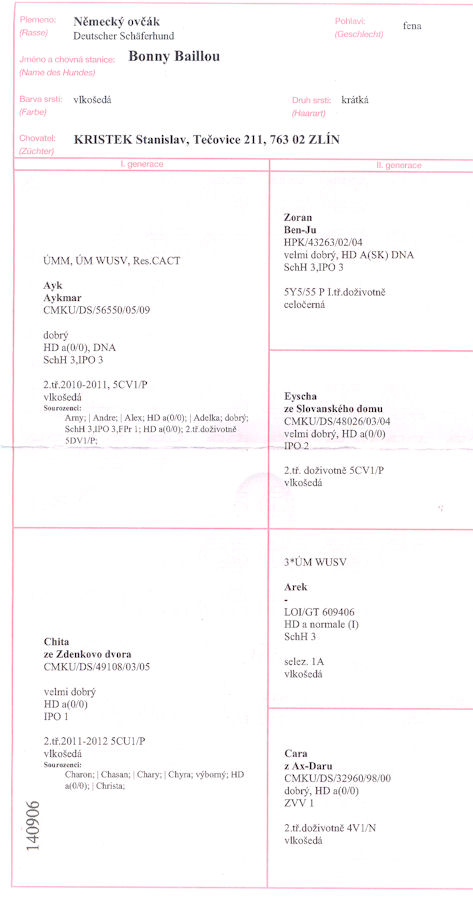 Original image from the archived BONNY Bailou record