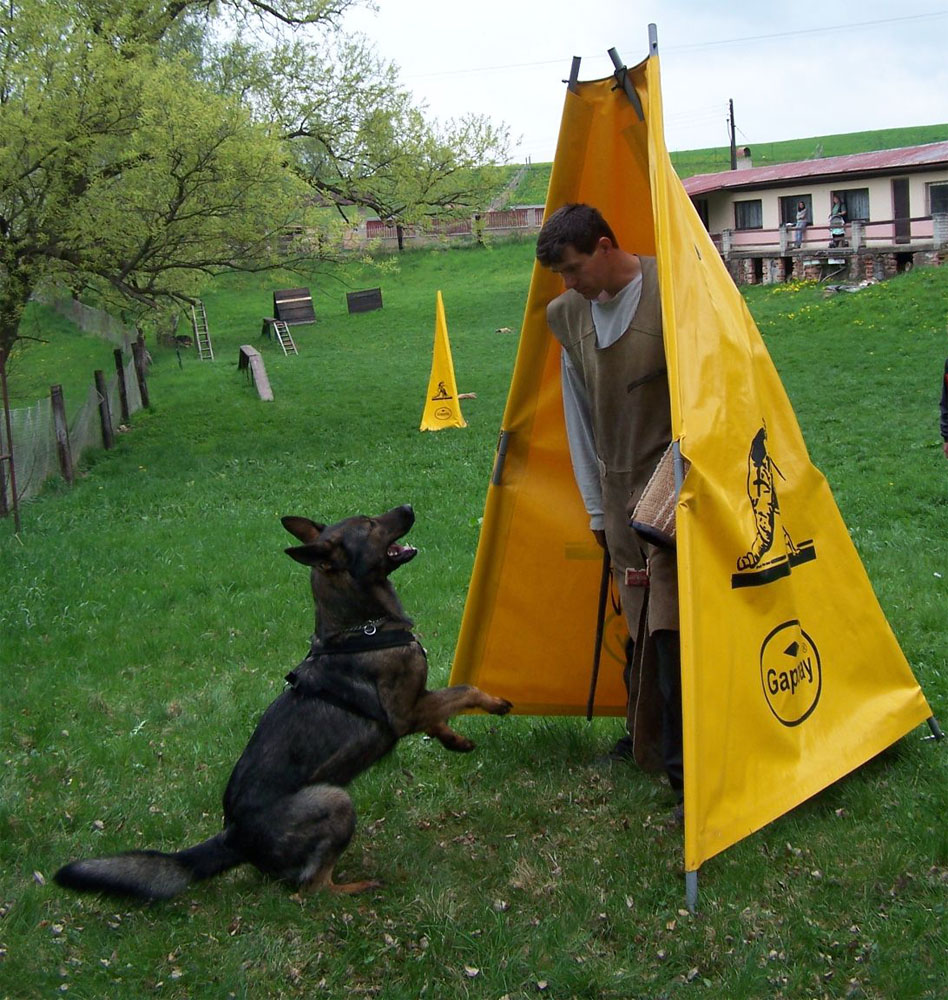 Original image from the archived BADY ze Svobodneho dvora x USSY od Roubenky record