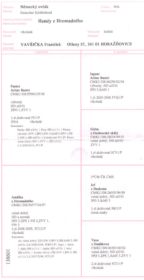 Original image from the archived HANDY z Hromadneho record
