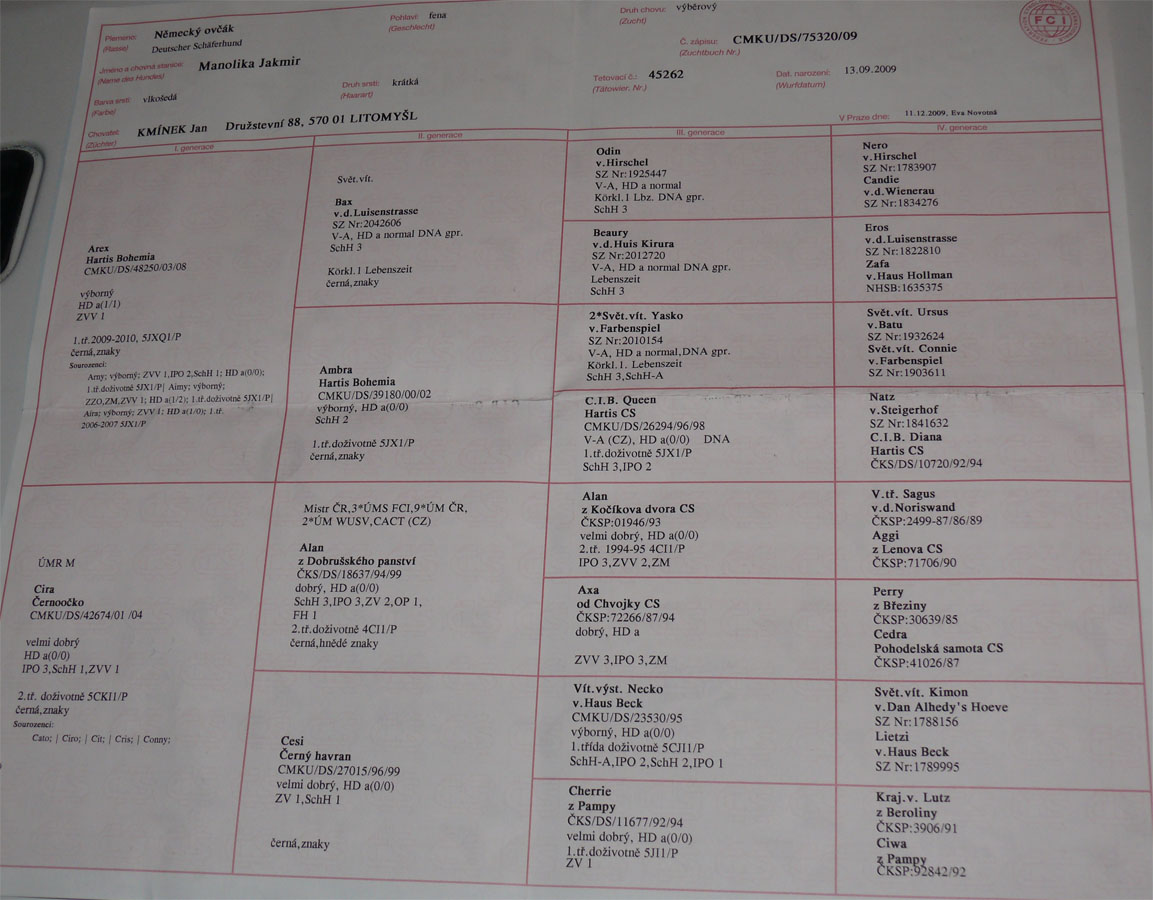 Original image from the archived MANOLIKA Jakmir record