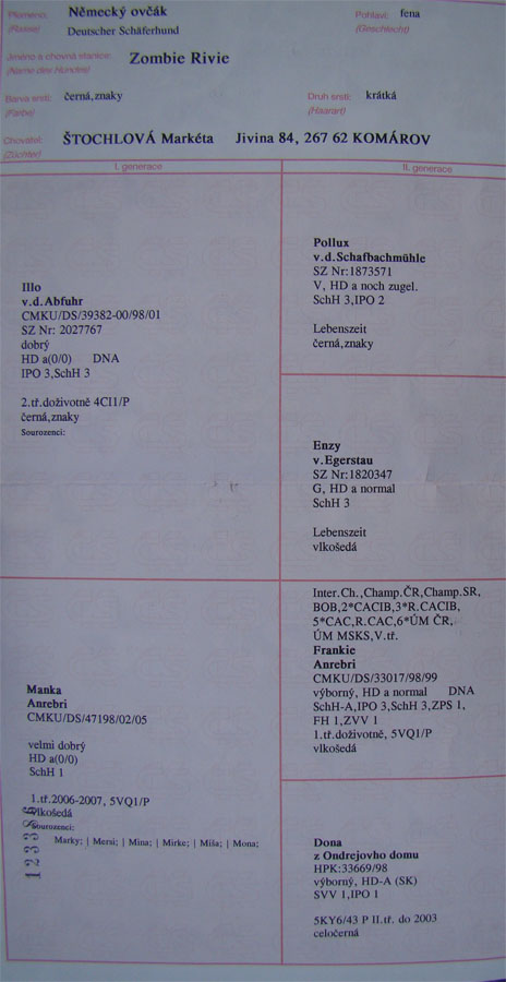 Original image from the archived s a solid black big female record