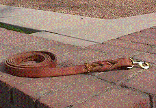 Original image from the archived Leash - Alpine K-9 record