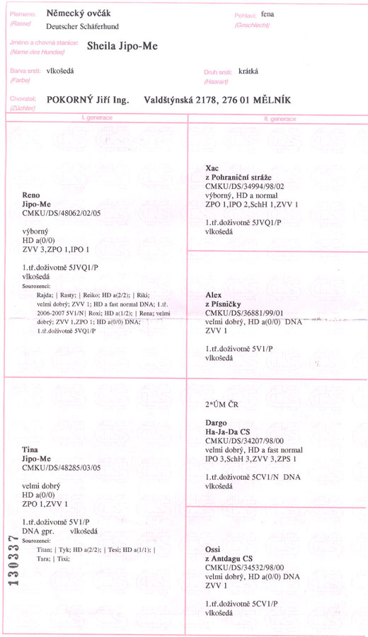 Original image from the archived Sheila Jipo-Me record