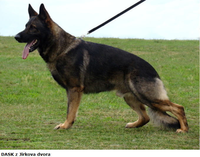 Original image from the archived DASK z Jirkova dvora x FISTA Jipo Me litter record