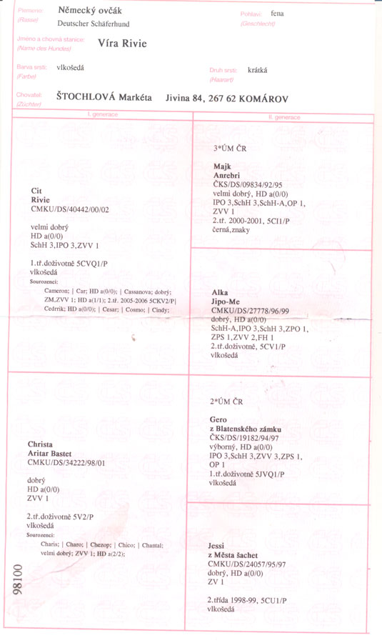 Original image from the archived VIRA Rivie record