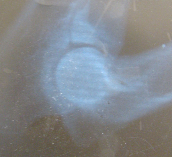 Original image from the archived HANDY z Hromadneho record