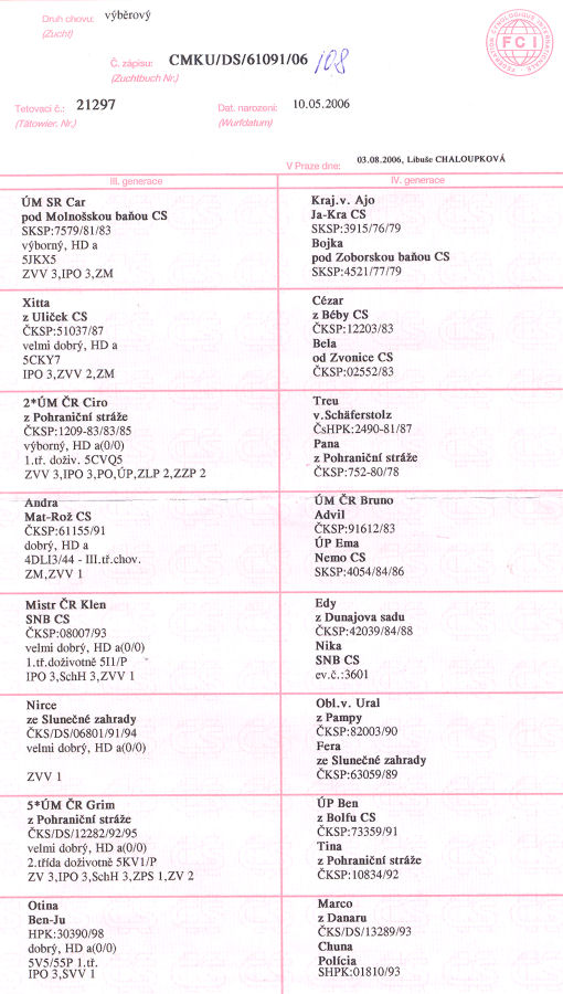 Original image from the archived BARA ze Srnciho vrchu record
