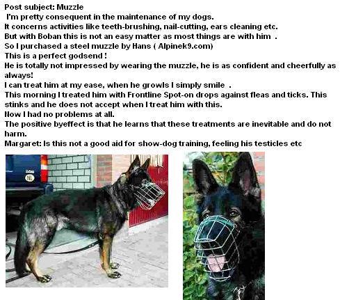 Original image from the archived Wire-Muzzle record