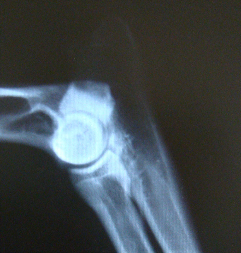 Original image from the archived MAEX von der Piste Trophe record