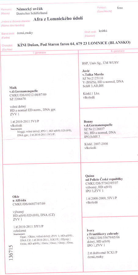 Original image from the archived AFRA z Lomnickeho udoli record