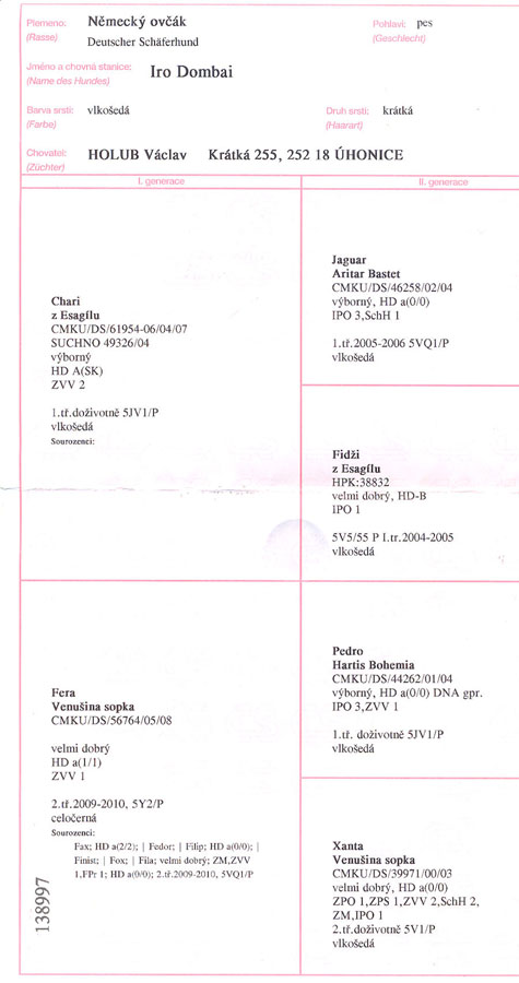 Original image from the archived IRO Dombai record