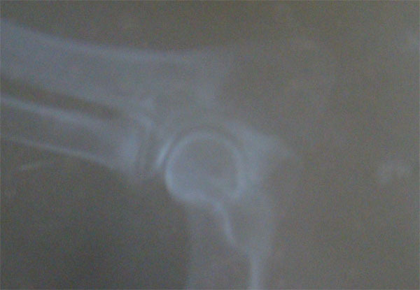 Original image from the archived Miky z Vetrneho vrchu record