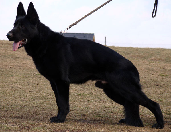 Original image from the archived call name ARTHUR record