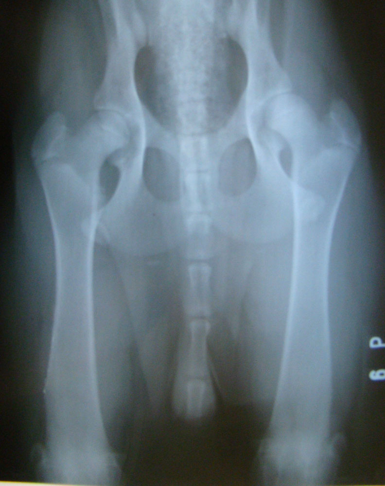 Original image from the archived CALLIF z Herodesova domu record